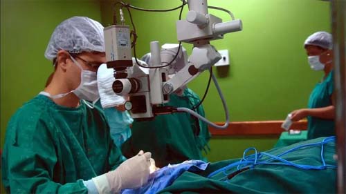 Câncer de bexiga ultrapassa 19 mil mortes no Brasil em 4 anos; número mundial é 800 mil