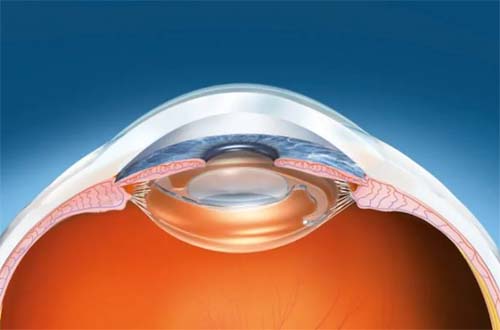 Mutirão de Cirurgias realiza mais uma etapa nesta sexta-feira (18) no Hospital Santa Rita, em Palmeira dos Índios