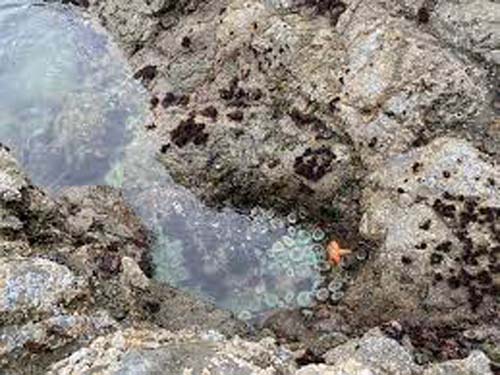 Professor: não devemos colocar questão do clima só para governos, também somos 'parte do problema'