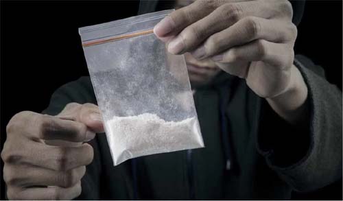 Dupla é presa com quase um quilo de cocaína escondida em residências do Clima Bom