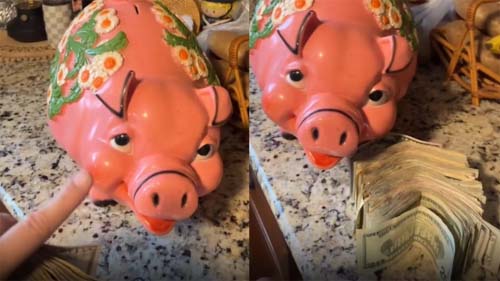 Mulher descobre mais de R$ 10 mil escondidos em cofrinho adquirido em loja de roupas usadas