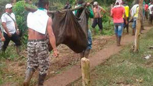 Pelo menos 13 mortos em dois massacres na Colômbia