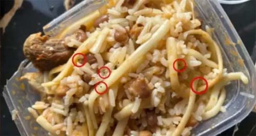 Adolescente de 17 Anos é Detida por Envenenar Refeições de Família devido a Desacordo Amoroso