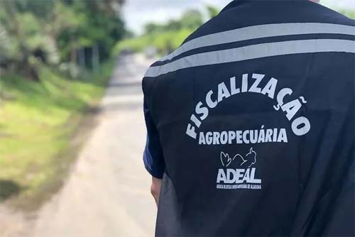 Governo alagoano propõe expansão de cargos na Agência de Defesa, visando futuro concurso público