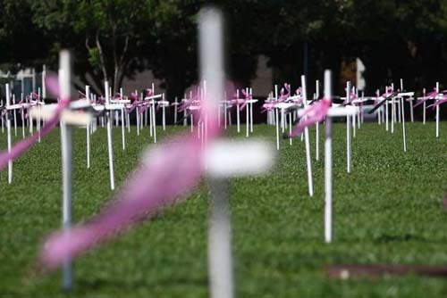 Ato no Congresso Nacional lembra vítimas de violência contra a mulher