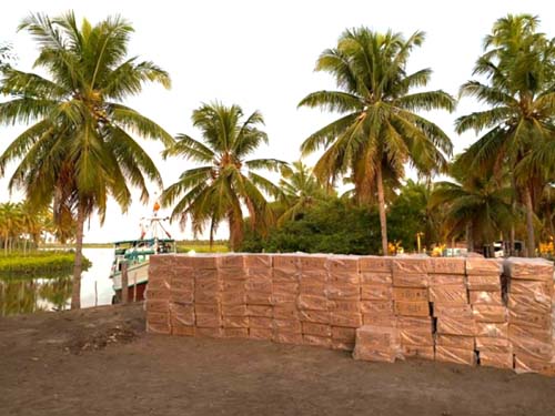 Cerca de 1000 caixas de cigarros contrabandeados são apreendidas dentro de embarcação em Piaçabuçu