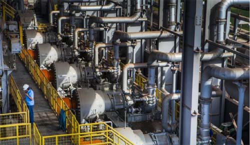 Cooperativa Agrícola do Vale do Satuba abre processo seletivo para safra 2021/2022