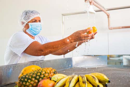 Dia Internacional do Cooperativismo: Alagoas intensifica ações para o fortalecimento do segmento