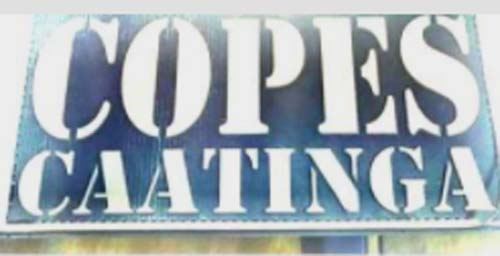 Oito elementos são presos em Batalha após promoverem desordem na cidade