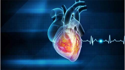 Doença cardíaca: os fatores de risco menos conhecidos e como reduzi-los
