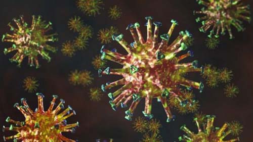 O que são os anticorpos monoclonais, possível alternativa até que se encontre a vacina contra covid-19