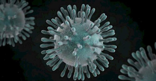 SMS informa que não existe caso confirmado de coronavírus em Palmeira