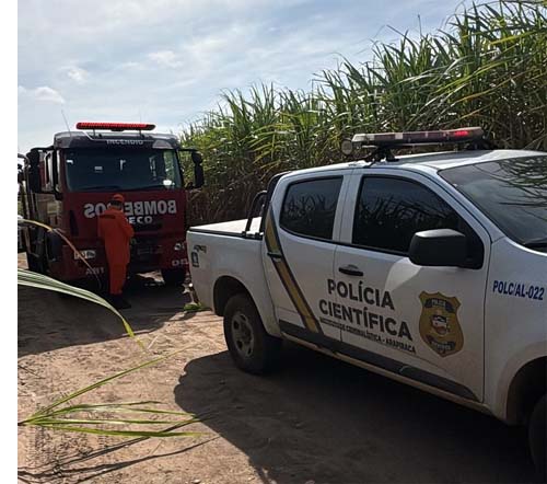 Corpo sem identificação é descoberto em sepultura improvisada no interior de Penedo