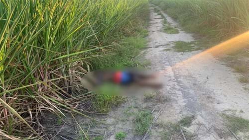 Polícia encontra corpo de suspeito de matar a mãe com facada no pescoço