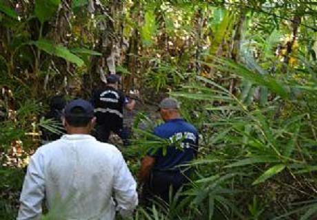 Corpo é encontrado em decomposição em fazenda de Flexeiras