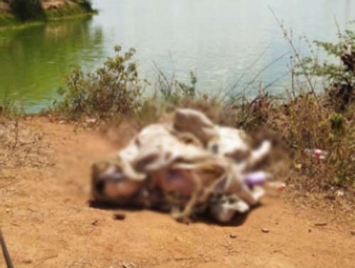 Arapiraca: corpo é achado dentro de saco no Lago da Perucaba