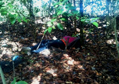 Corpo em estado de decomposição é encontrado no 'lixão' de Penedo 