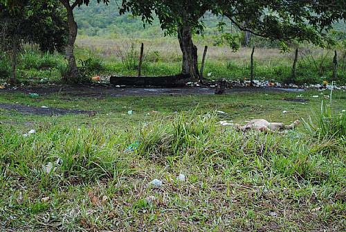 Corpo de homem é encontrado despido no Rio dos Milagres