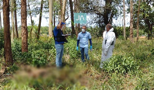 Corpo de homem é encontrado com as mãos amputadas em plantação de eucalipto no Agreste