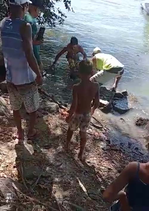 Corpo é resgatado sob a Ponte Divaldo Suruagy