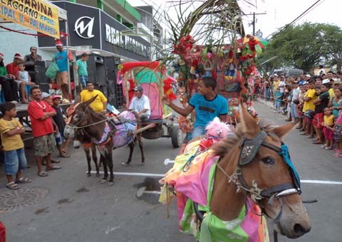 União dos Palmares realiza hoje dia 25 a XV Corrida do Jumento Alagoano