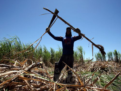 MPT cobra multa de R$ 2,1 milhões para a Usina Caeté