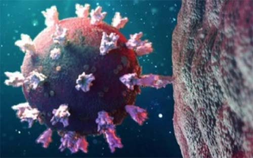 Pelo quinto dia seguido, Alagoas não registra óbitos por Covid-19