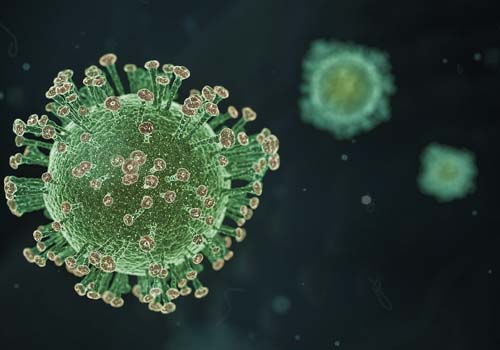 Criança de três anos e outras 17 vítimas morrem da Covid-19