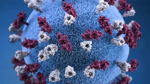 Covid-19: número de mortes no mundo supera 7 milhões, diz OMS