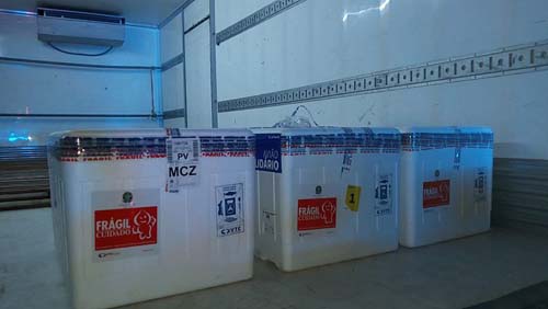 AL: idosos de 72 a 74 anos começam a ser vacinados a partir de amanhã, 18