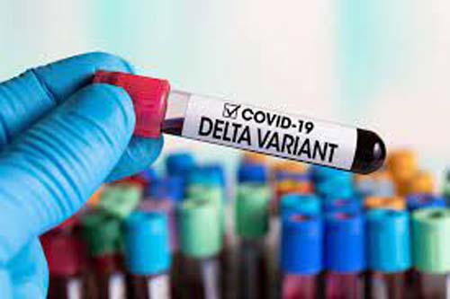 Crescimento da variante Delta reforça necessidade de 2ª dose da vacina