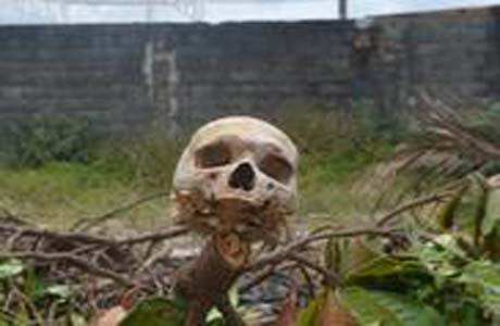 Crânio humano é encontrado fincado em estaca na Praia do Francês em Marechal Deodoro