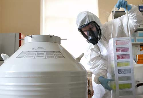 Criadores da Sputnik V lançam tecnologia de elaboração rápida de vacinas contra cepas da COVID-19