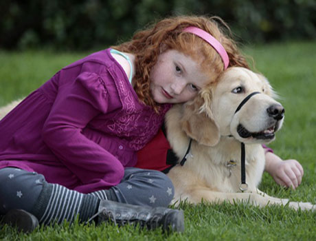 Nos EUA, cães são usados para vigiar crianças que sofrem de epilepsia