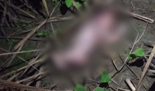 Adolescente é acusada pelo MP-AL por jogar corpo da filha em terreno