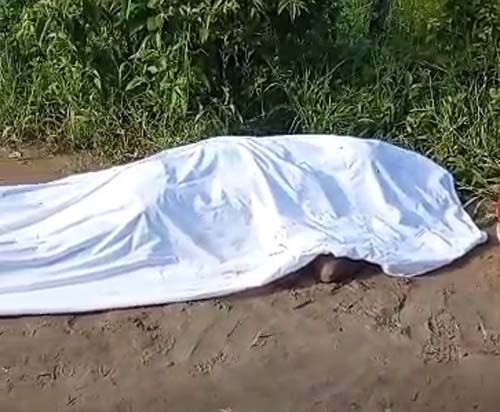 “Coveiro” é encontrado morto pelo irmão em estrada vicinal