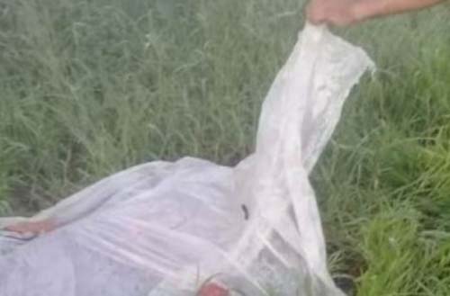 Homem encontra o corpo da irmã estrangulada, em Feira Grande