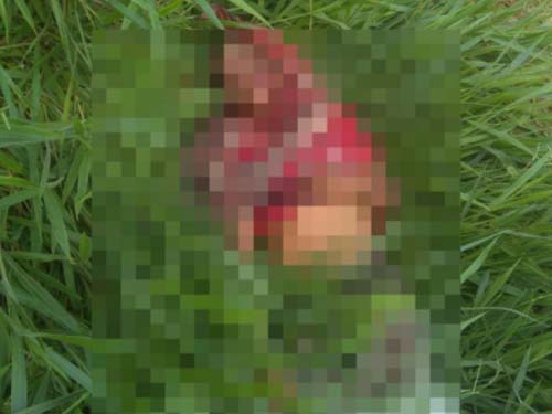 Homem de 46 anos é encontrado morto em matagal da parte alta de Penedo