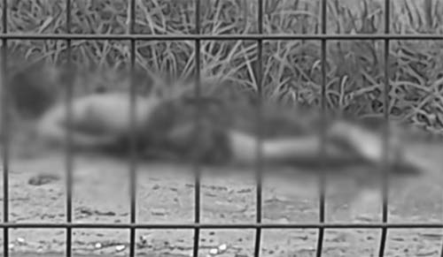 Adolescente agoniza até a morte por trás de shopping, em Maceió