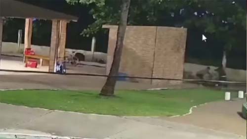 Polícia prende suspeito de atentado que matou entregador no Vera Arruda