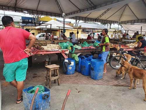 Vereador denuncia venda de carne bovina em local inapropriado