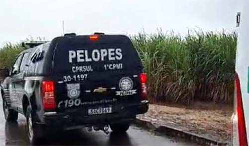 Corretor de Imóveis é achado morto em canavial em São Miguel dos Campos