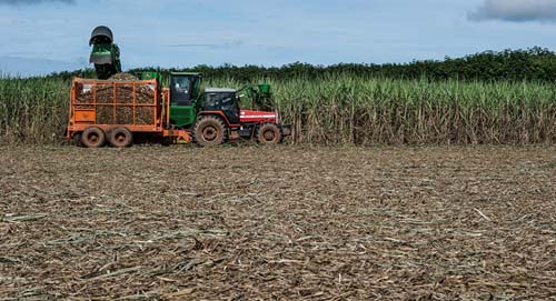 Após visita de Mourão, Brasil e China fecham acordo sobre disputa do açúcar na OMC