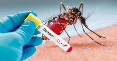Em tempos de pandemia, vírus da dengue pode ser invisibilizado
