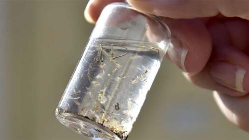 Saúde anuncia investimento de R$1,5 bilhão para combate à dengue