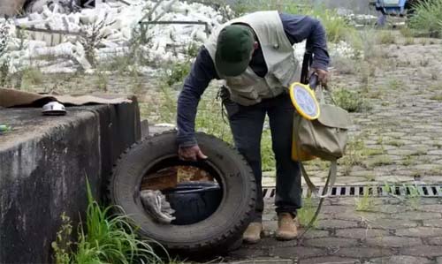 Brasilia registra 2 mil casos de dengue em uma semana; no ano são 24 mil