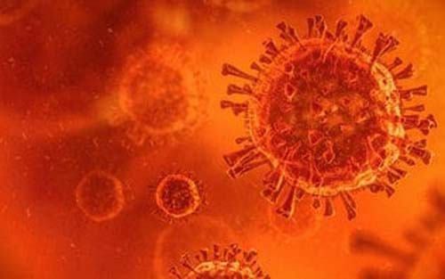 Quem já teve dengue tem mais chance de ter sintomas na Covid-19, indica estudo