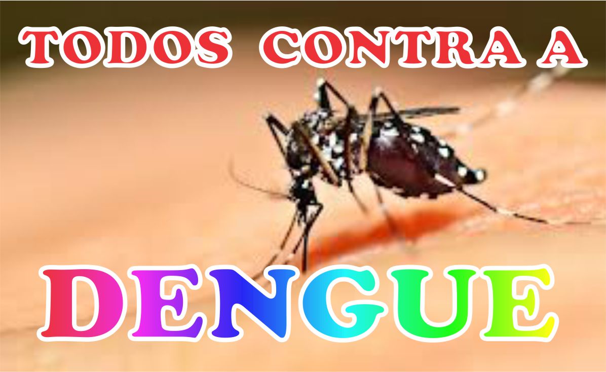 Alagoas registra primeira morte por dengue em 2014