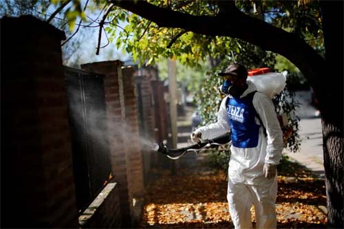 Por que casos de dengue estão se multiplicando na Europa