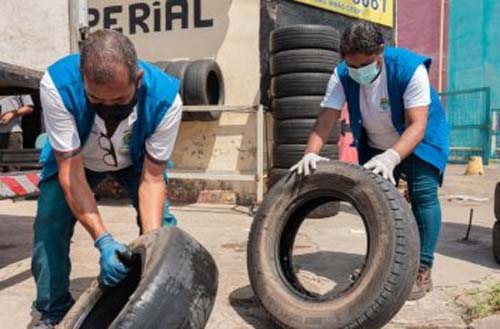 Casos de dengue em Maceió crescem 219,33% em relação a 2023